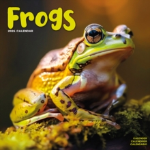 Frogs Calendar 2026 Square Animal Wall Calendar - 16 Month - 9781804607336