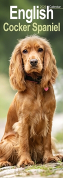 English Cocker Spaniel Slim Calendar 2026 Dog Breed Slimline Calendar - 12 Month - 9781804608012