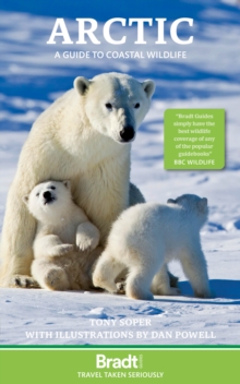 Arctic : A guide to coastal wildlife