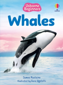 Beginners Whales