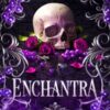 Enchantra : A spicy fantasy romance
