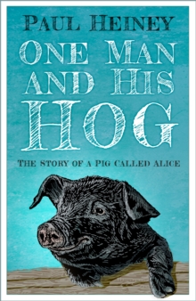 One Man and His Hog : The Story of a Pig Called Alice