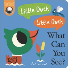 Little Duck! Little Duck! What Can You See? - 9781838917975