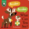 Reindeer! Reindeer! What Can You See? - 9781838918323