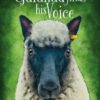 Galahad finds his Voice - 9781839528613