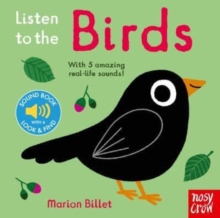 Listen to the Birds - 9781839947346
