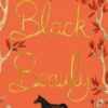 Black Beauty - 9781840227871