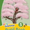 Grammar 5 Pupil Book : In Precursive Letters (British English edition) - 9781844144822