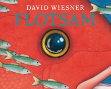 Flotsam : A Caldecott Award Winner - 9781849394499