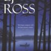 Dark Skies : A DCI Ryan Mystery