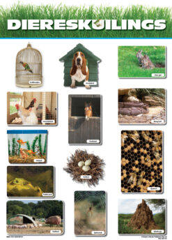 CHART: DIERESKUILINGS A2