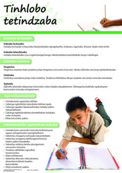 CHART: HOW TO WRITE AN ESSAY (SISWATI) A2 (FLAT)