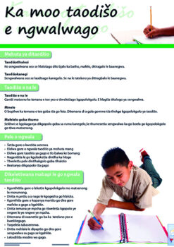 CHART: HOW TO WRITE AN ESSAY (SEPEDI) (FLAT)