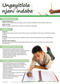 CHART: HOW TO WRITE AN ESSAY (NDEBELE) A2