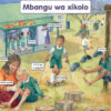 CHART: THE SCHOOL ENVIROMENT XITSONGA A2