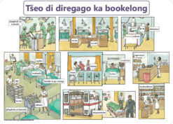 CHART: WHAT HAPPENS IN A HOSPITAL SEPEDI A2