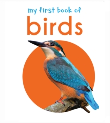 My First Book of Birds : First Board Book - 9789386538475