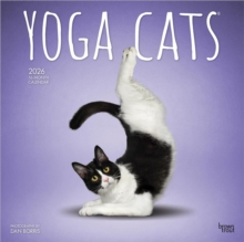 Yoga Cats 2026 Square Flap Calendar - 9798330701919