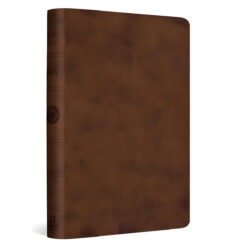 ESV Brown Imitation Leather Value Compact Bible Red Letter