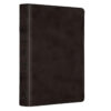 ESV Black Imitation Leather Value Compact Bible Large Print