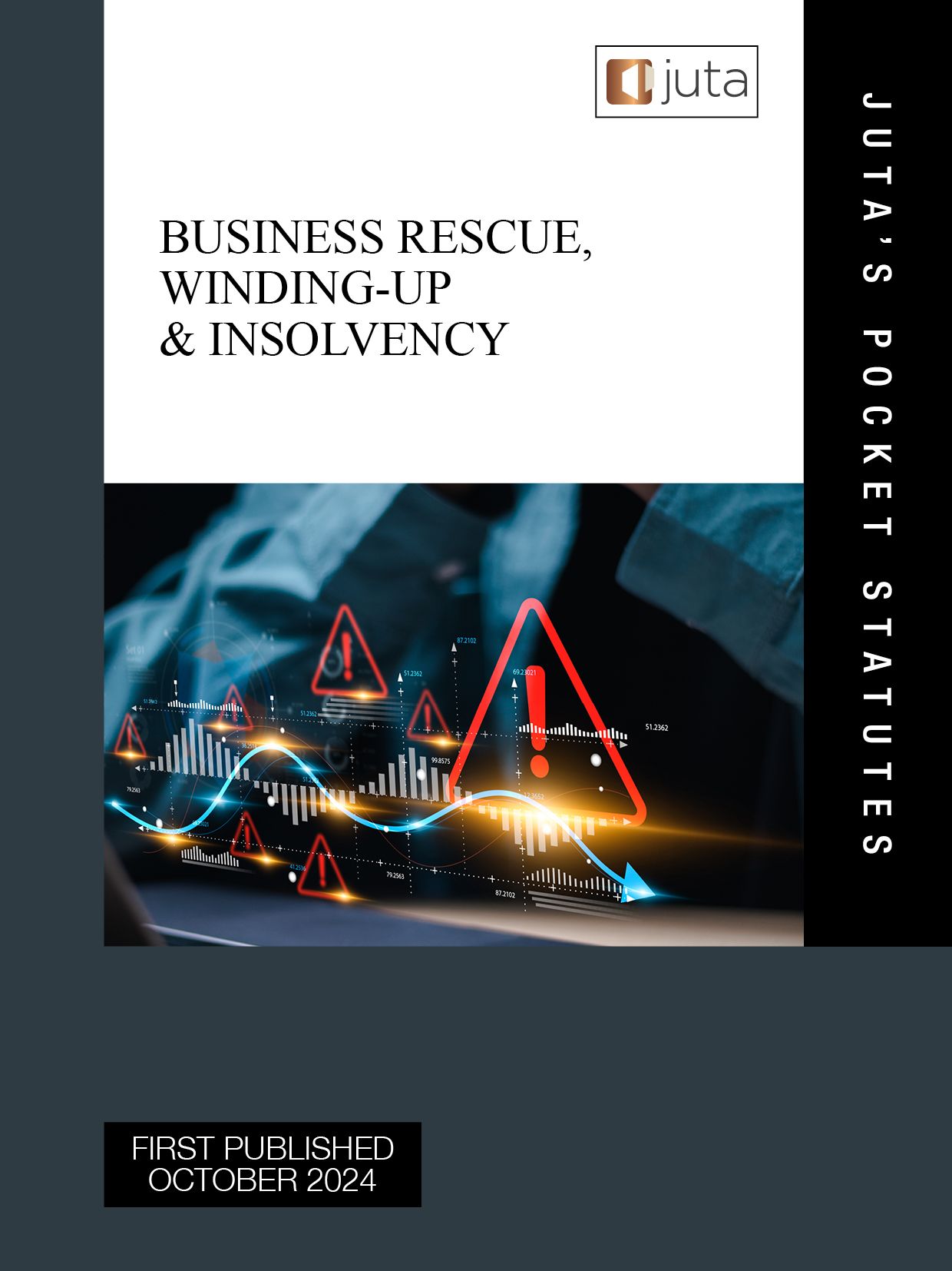 Business Rescue, Winding-Up & Insolvency