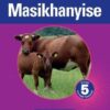 Platinum Masikhanyise Grade 4 Teacher's Guide