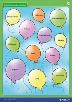 Platinum Libanga R Iphosta 15 Tinombolo