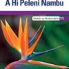 Platinum A Hi Peleni Nambu Grade 11 Learner's Book