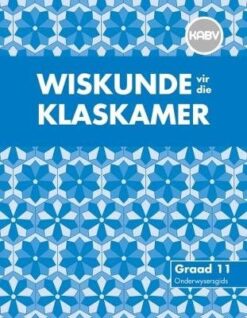 Wiskunde vir die Klaskamer Graad 11 Leerdersboek (NKABV Uitgawe)
