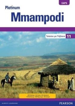 Platinum Mmampodi Grade 11 Learner's Book