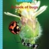 Vuma Level 6 Book 4 Big Book: A book of bugs