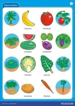 Platinum Libanga R Iphosta 6 Kuphila lokunemphilo