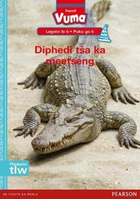 Vuma lagato la 6 Puku ya 5: Ba hlatswa mmotoro