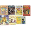 Stars of Africa Grade 4 Set 2 (set of 7 readers)