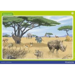 Platinum Libanga R Iphosta 8 Bobunjwa be-3D