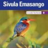 Platinum Sivula Emasango Grade 7 Teacher's Guide
