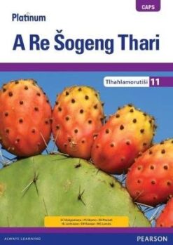 Platinum A Re Å ogeng Thari Grade 11 Learner's Book