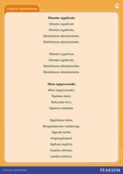 Platinum Libanga R Iphosta 18 Coca lishadi