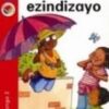 Kagiso Reader Grade 2 (IsiZulu) Book 7:  Izinto ezindizayo