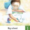 Spot On Grade 1 Big Book: Air on the move