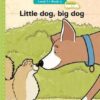 Vuma Level 3 Book 4 Big Book: Little dog, big dog