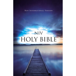 NIV Value Outreach Bible Blue Pier (Paperback)