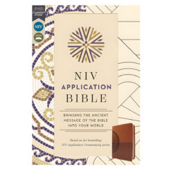 NIV Brown Imitation Leather Application Bible Comfort Print