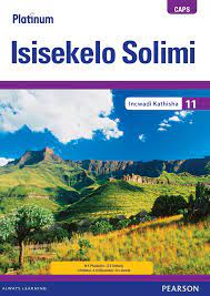 Platinum Isisekelo Solimi Grade 11 Teacher's Guide