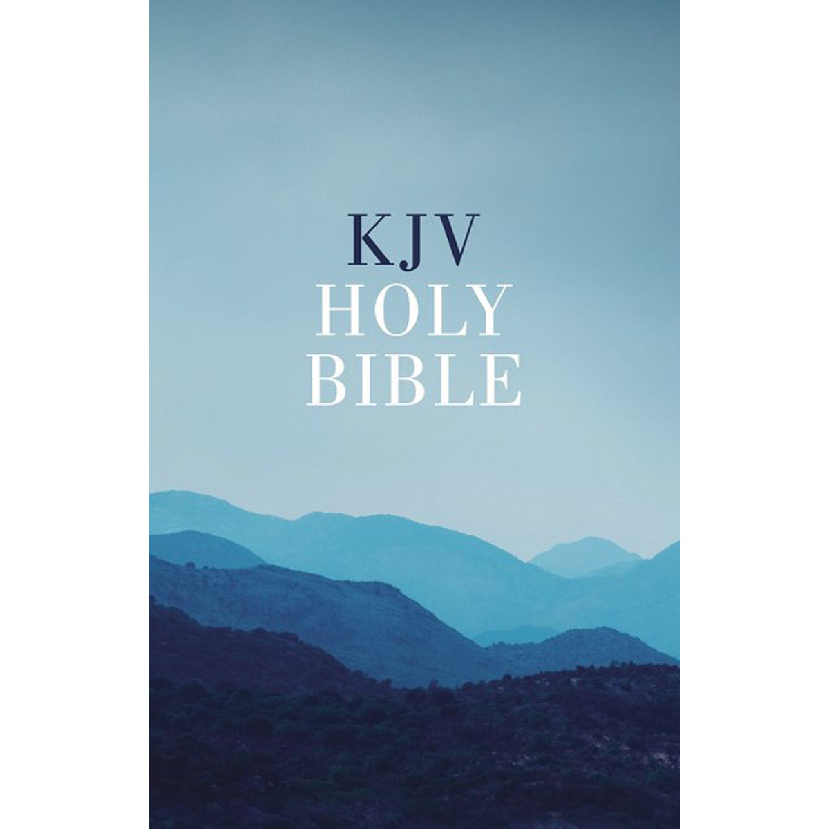 KJV Value Outreach Bible Blue Scenic (Comfort Print)(Paperback)