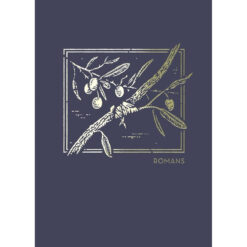 NET Abide Bible Journal Romans (Comfort Print)(Paperback)