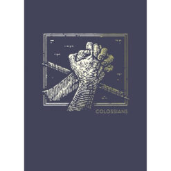 NET Abide Bible Journal Colossians (Comfort Print)(Paperback)