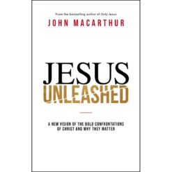 Jesus Unleashed: A New Vision Of The Bold Confrontations Of Christ And Why They Matter (Hardcover)