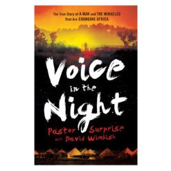 Voice In The Night (Paperback)