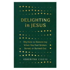 Delighting in Jesus: Rhythms to Restore Joy (Paperback)